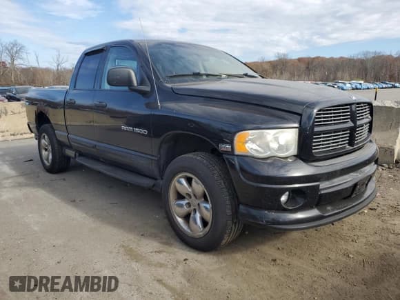 ✅ 2004 Dodge 1500 SLT • VIN: 1D7HU18D74J234047 • Лот: 79276694. Опубликован ранее на Copart с пробегом 246 257 миль. Бесплатный доступ к архиву аукционных продаж из США и подробный отчёт об истории автомобиля на DreamBid. Изображение 4.