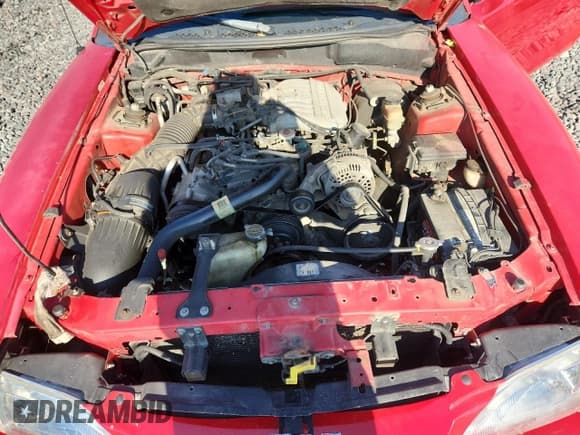 ✅ 1998 Ford Mustang • VIN: 1FAFP4446WF239915 • Lot: 92933885. Listed on Copart with 173,494 mi. Free auction sales archive from the USA and detailed vehicle history report at DreamBid. Image 11.