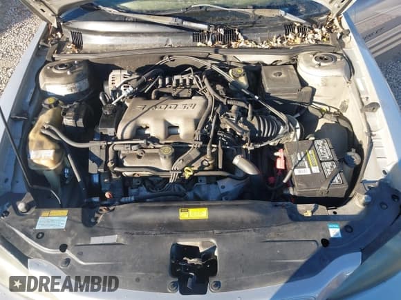 ✅ 1999 Pontiac Grand Am SE1 • VIN: 1G2NE52EXXM857172 • Lot: 43708448. Listed on IAAI with 237,151 mi. Free auction sales archive from the USA and detailed vehicle history report at DreamBid. Image 10.