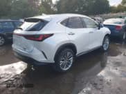 ✅ 2025 Lexus NX 350 Luxury • VIN: 2T2HGCEZ5SC080407 • Лот: 43490175. Опубликован ранее на IAAI с пробегом 6 860 миль. Бесплатный доступ к архиву аукционных продаж из США и подробный отчёт об истории автомобиля на DreamBid. Изображение 4.