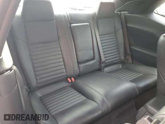 ✅ 2010 Dodge Challenger SE • VIN: 2B3CJ4DV1AH109718 • Lot: 81935284. Wystawiony na Copart z przebiegiem 132 476 mil. Bezpłatny archiwum sprzedaży aukcyjnych z USA i szczegółowy raport historii pojazdu na DreamBid. Zdjęcie 10.