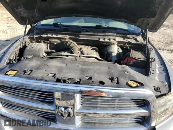 ✅ 2009 Dodge 1500 SLT • VIN: 1D3HV13T59J510780 • Lot: 41908145. Wystawiony na Copart z przebiegiem 257 646 mil. Bezpłatny archiwum sprzedaży aukcyjnych z USA i szczegółowy raport historii pojazdu na DreamBid. Zdjęcie 11.