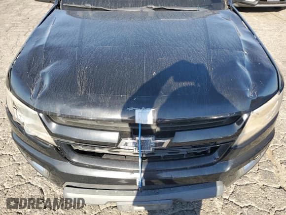 ✅ 2016 Chevrolet Colorado 2WD LT • VIN: 1GCGSCE39G1190432 • Лот: 68438424. Опубликован ранее на Copart с пробегом 202 767 миль. Бесплатный доступ к архиву аукционных продаж из США и подробный отчёт об истории автомобиля на DreamBid. Изображение 11.