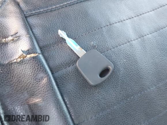 ✅ 2000 Ford Expedition Eddie Bauer • VIN: 1FMRU17LXYLC30748 • Lot: 42101618. Listed on IAAI with 220,464 mi. Free auction sales archive from the USA and detailed vehicle history report at DreamBid. Image 11.