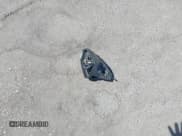 ✅ 2016 Hyundai Sonata SE • VIN: 5NPE24AFXGH393478 • Лот: 43111361. Опубликован ранее на IAAI с пробегом 81 521 миль. Бесплатный доступ к архиву аукционных продаж из США и подробный отчёт об истории автомобиля на DreamBid. Изображение 12.