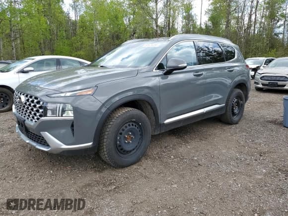 ✅ 2021 Hyundai Santa Fe SEL • VIN: 5NMS3DAJ0MH325297 • Lot: 53829234. Wystawiony na Copart z przebiegiem 99 939 mil. Bezpłatny archiwum sprzedaży aukcyjnych z USA i szczegółowy raport historii pojazdu na DreamBid. Zdjęcie 1.