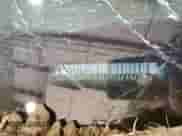 1991 Chevrolet Corvette with VIN 1G1YY2384M5114478, listed as a Copart auction lot 43314585 with Not provided miles and Salvage title. Bid and sale history available at DreamBid. Image 13.