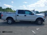 ✅ 2009 Ford F-150 XL • VIN: 1FTPW14VX9FB31407 • Lot: 42543322. Wystawiony na IAAI z przebiegiem 86 912 mil. Bezpłatny archiwum sprzedaży aukcyjnych z USA i szczegółowy raport historii pojazdu na DreamBid. Zdjęcie 13.