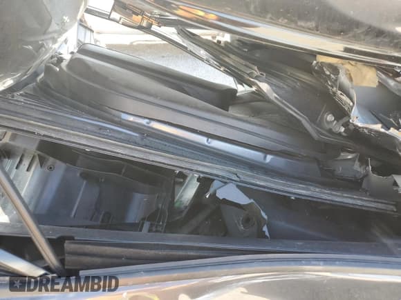 ✅ 2025 Toyota RAV4 XLE • VIN: 2T3W1RFV6SW373167 • Lot: 85940715. Listed on Copart with 19,251 mi. Free auction sales archive from the USA and detailed vehicle history report at DreamBid. Image 11.