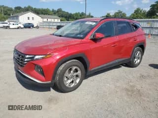 ✅ 2023 Hyundai Tucson SEL • VIN: 5NMJB3AE6PH208064 • Lot: 68642755. Wystawiony na Copart z przebiegiem 64 845 mil. Bezpłatny archiwum sprzedaży aukcyjnych z USA i szczegółowy raport historii pojazdu na DreamBid. Zdjęcie 1.