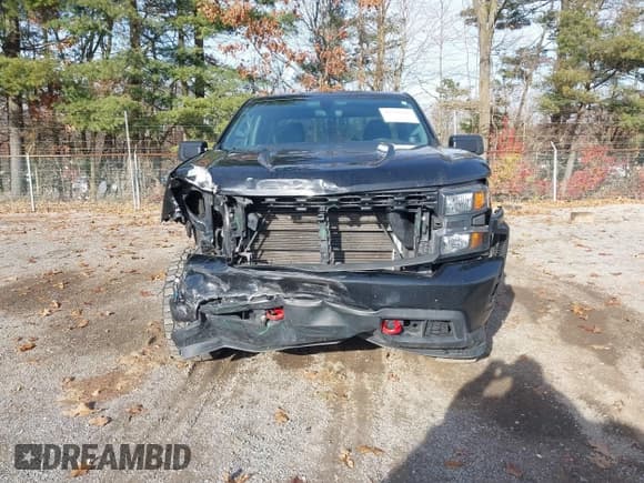 ✅ 2019 Chevrolet Silverado 1500 Custom Trail Boss • VIN: 1GCRYCEF6KZ232289 • Lot: 43759287. Wystawiony na IAAI z przebiegiem 153 492 mil. Bezpłatny archiwum sprzedaży aukcyjnych z USA i szczegółowy raport historii pojazdu na DreamBid. Zdjęcie 12.