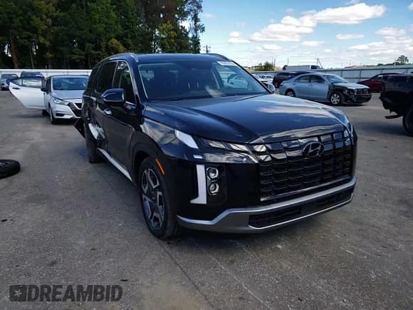 ✅ 2024 Hyundai Palisade SEL • VIN: KM8R44GE1RU653281 • Лот: 76291614. Опубликован ранее на Copart с пробегом 13 216 миль. Бесплатный доступ к архиву аукционных продаж из США и подробный отчёт об истории автомобиля на DreamBid. Изображение 11.