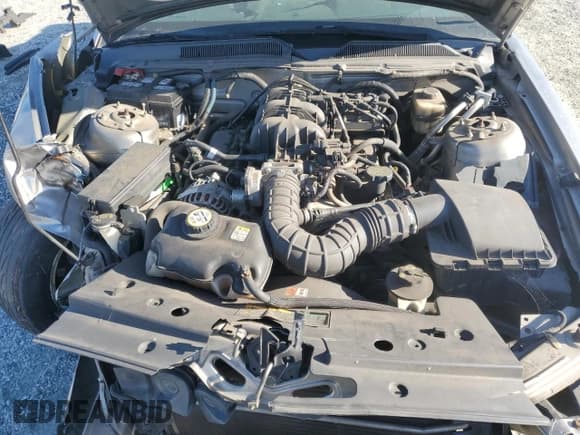 ✅ 2008 Ford Mustang Deluxe • VIN: 1ZVHT80N885134920 • Лот: 81309985. Опубликован ранее на Copart с пробегом Не указан. Бесплатный доступ к архиву аукционных продаж из США и подробный отчёт об истории автомобиля на DreamBid. Изображение 11.