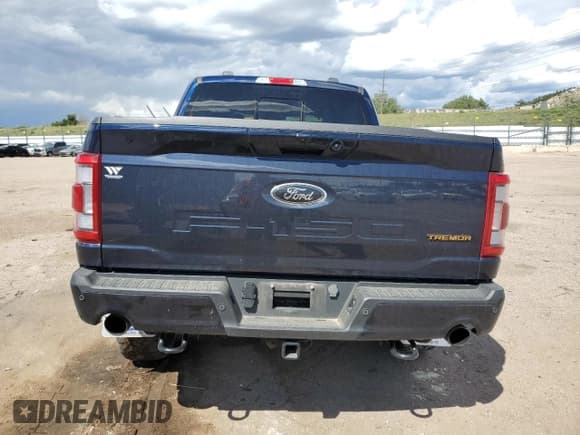 ✅ 2023 Ford F-150 XL • VIN: 1FTEW1E89PFC59425 • Lot: 71808495. Listed on Copart with 75,929 mi. Free auction sales archive from the USA and detailed vehicle history report at DreamBid. Image 6.