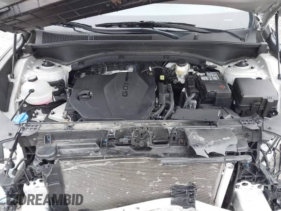 2022 Hyundai Santa Fe SE z VIN 5NMS1DAJ1NH400726, wystawiony jako IAAI lot #41680232 z przebiegiem 21 188 mil mil oraz . Historia ofert i sprzedaży dostępna na DreamBid. Obrazek 10.