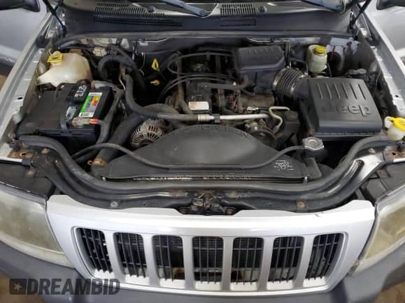 2004 Jeep Grand Cherokee Laredo с VIN 1J4GW48S04C312361, выставлен на аукционе Copart как лот 81420765 с пробегом 131 405 миль миль и Списание • Salvage title. История ставок и продаж доступна на DreamBid. Изображение 12.