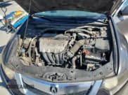 ✅ 2009 Acura TSX • VIN: JH4CU26629C015747 • Lot: 90625605. Wystawiony na Copart z przebiegiem 246 297 mil. Bezpłatny archiwum sprzedaży aukcyjnych z USA i szczegółowy raport historii pojazdu na DreamBid. Zdjęcie 11.