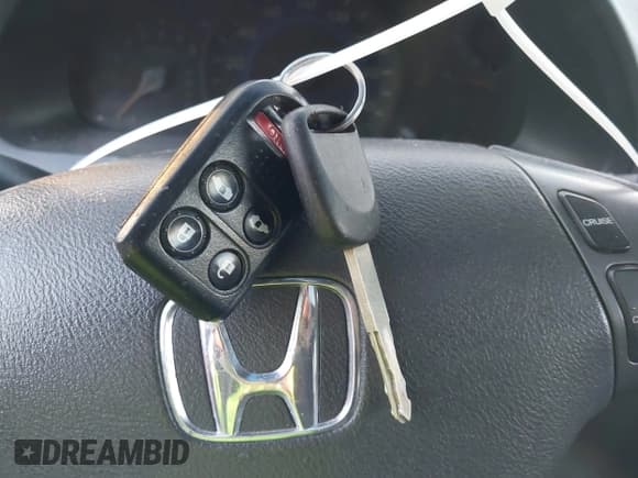 ✅ 2008 Honda Odyssey EX-L • VIN: 5FNRL387X8B037037 • Lot: 43772554. Listed on IAAI with 161,267 mi. Free auction sales archive from the USA and detailed vehicle history report at DreamBid. Image 11.