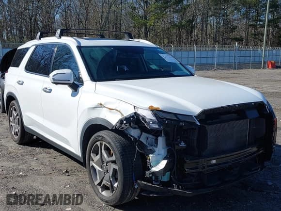 ✅ 2023 Hyundai Palisade Limited • VIN: KM8R54GE7PU566026 • Лот: 41211590. Опубликован ранее на IAAI с пробегом 31 175 миль. Бесплатный доступ к архиву аукционных продаж из США и подробный отчёт об истории автомобиля на DreamBid. Изображение 6.