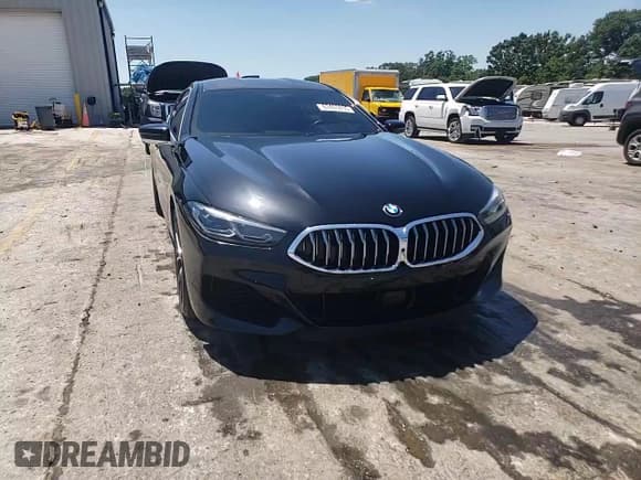 ✅ 2022 BMW 8 Series M850i • VIN: WBAGV8C03NCJ62640 • Lot: 63463835. Listed on Copart with 19,110 mi. Free auction sales archive from the USA and detailed vehicle history report at DreamBid. Image 13.