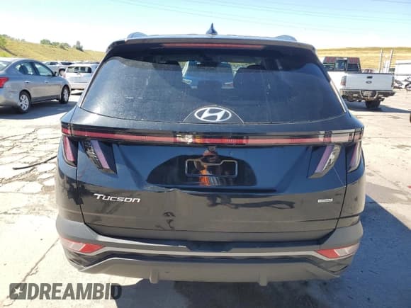 ✅ 2023 Hyundai Tucson SEL • VIN: 5NMJBCAE0PH162876 • Lot: 67865724. Wystawiony na Copart z przebiegiem 38 301 mil. Bezpłatny archiwum sprzedaży aukcyjnych z USA i szczegółowy raport historii pojazdu na DreamBid. Zdjęcie 6.