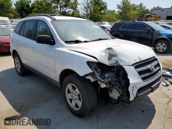 ✅ 2009 Hyundai Santa Fe GLS • VIN: 5NMSG73DX9H293334 • Лот: 65817724. Опубликован ранее на Copart с пробегом 183 821 миль. Бесплатный доступ к архиву аукционных продаж из США и подробный отчёт об истории автомобиля на DreamBid. Изображение 4.