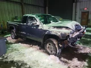 ✅ 2003 Dodge Dakota • VIN: 1D7HG12X93S350367 • Lot: 38855714. Wystawiony na Copart z przebiegiem 212 097 mil. Bezpłatny archiwum sprzedaży aukcyjnych z USA i szczegółowy raport historii pojazdu na DreamBid. Zdjęcie 4.