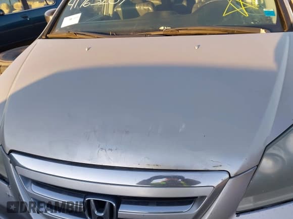 ✅ 2005 Honda Odyssey EX-L • VIN: 5FNRL38645B017966 • Lot: 41763207. Listed on IAAI with Not provided. Free auction sales archive from the USA and detailed vehicle history report at DreamBid. Image 10.