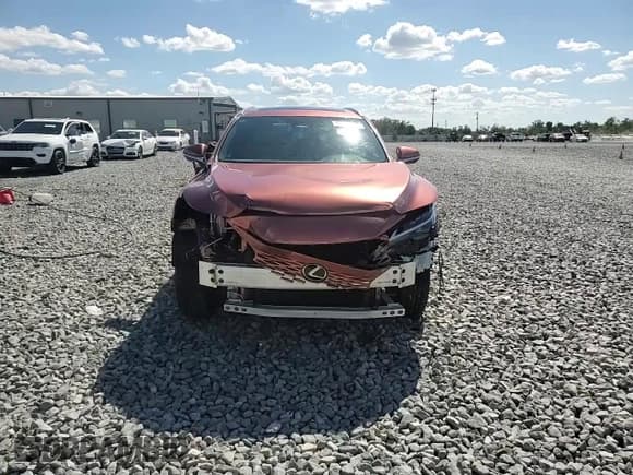 ✅ 2024 Lexus RX 350 Premium • VIN: 2T2BAMBA0RC039169 • Лот: 90062035. Опубликован ранее на Copart с пробегом 9 589 миль. Бесплатный доступ к архиву аукционных продаж из США и подробный отчёт об истории автомобиля на DreamBid. Изображение 15.