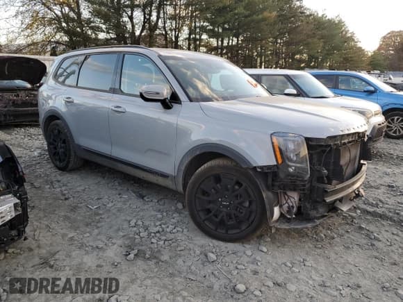 ✅ 2022 Kia Telluride SX • VIN: 5XYP5DHC5NG285382 • Lot: 90609595. Wystawiony na Copart z przebiegiem 85 967 mil. Bezpłatny archiwum sprzedaży aukcyjnych z USA i szczegółowy raport historii pojazdu na DreamBid. Zdjęcie 4.