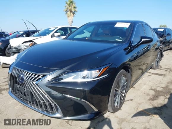 ✅ 2022 Lexus ES 300h • VIN: 58ADA1C11NU026524 • Lot: 43596498. Wystawiony na IAAI z przebiegiem 31 327 mil. Bezpłatny archiwum sprzedaży aukcyjnych z USA i szczegółowy raport historii pojazdu na DreamBid. Zdjęcie 17.