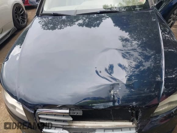 ✅ 2010 Audi A4 Premium Plus • VIN: WAUFFAFL2AN016220 • Lot: 43029675. Listed on IAAI with 124,551 mi. Free auction sales archive from the USA and detailed vehicle history report at DreamBid. Image 10.