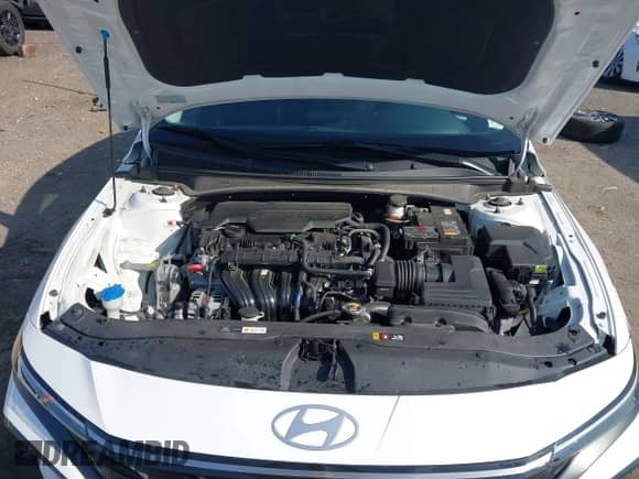 2024 Hyundai Elantra SEL with VIN KMHLS4DG9RU646905, listed as a IAAI auction lot 43158090 with 29,114 mi miles and . Bid and sale history available at DreamBid. Image 10.