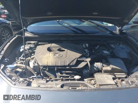 ✅ 2023 Mazda CX-30 S Carbon Edition • VIN: 3MVDMBCMXPM510409 • Lot: 42645168. Listed on IAAI with Not provided. Free auction sales archive from the USA and detailed vehicle history report at DreamBid. Image 10.