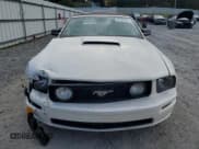 ✅ 2005 Ford Mustang GT Deluxe • VIN: 1ZVFT85H155194866 • Lot: 87469225. Listed on Copart with 179,049 mi. Free auction sales archive from the USA and detailed vehicle history report at DreamBid. Image 5.