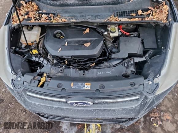 ✅ 2014 Ford Escape SE • VIN: 1FMCU9GX4EUC14672 • Lot: 95213635. Wystawiony na Copart z przebiegiem 96 472 mil. Bezpłatny archiwum sprzedaży aukcyjnych z USA i szczegółowy raport historii pojazdu na DreamBid. Zdjęcie 12.