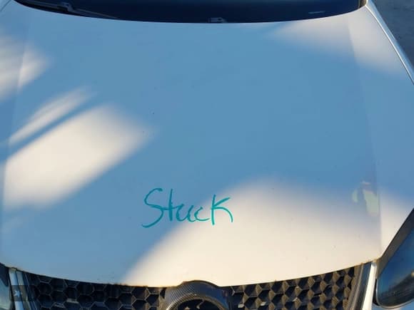 ✅ 2008 Volkswagen Jetta SE • VIN: 3VWRM71K98M103735 • Lot: 43850605. Wystawiony na IAAI z przebiegiem 135 955 mil. Bezpłatny archiwum sprzedaży aukcyjnych z USA i szczegółowy raport historii pojazdu na DreamBid. Zdjęcie 10.