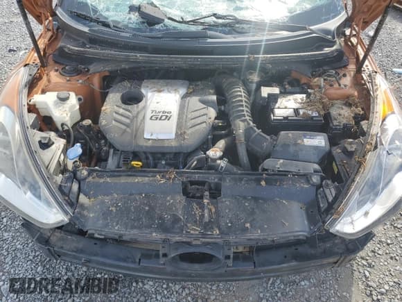 ✅ 2016 Hyundai Veloster Turbo • VIN: KMHTC6AE2GU282769 • Lot: 73994114. Listed on Copart with Not provided. Free auction sales archive from the USA and detailed vehicle history report at DreamBid. Image 11.