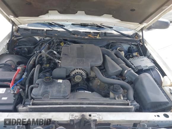 ✅ 2008 Ford Crown Victoria LX • VIN: 2FAFP74V88X175233 • Lot: 42980612. Wystawiony na IAAI z przebiegiem 197 411 mil. Bezpłatny archiwum sprzedaży aukcyjnych z USA i szczegółowy raport historii pojazdu na DreamBid. Zdjęcie 10.