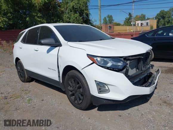 2019 Chevrolet Equinox LS with VIN 3GNAXHEVXKL264035, listed as a IAAI auction lot 43226281 with 87,032 mi miles and . Bid and sale history available at DreamBid. Image 1.