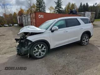 ✅ 2021 Hyundai Palisade SEL • VIN: KM8R3DHE2MU283386 • Лот: 84896555. Опубликован ранее на Copart с пробегом 104 222 миль. Бесплатный доступ к архиву аукционных продаж из США и подробный отчёт об истории автомобиля на DreamBid. Изображение 1.