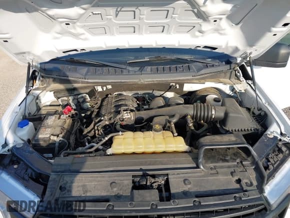 ✅ 2019 Ford F-150 XL • VIN: 1FTMF1CB2KKF00011 • Lot: 42923871. Listed on IAAI with 63,848 mi. Free auction sales archive from the USA and detailed vehicle history report at DreamBid. Image 10.