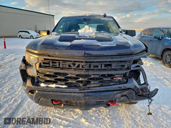 ✅ 2022 Chevrolet Silverado 1500 Custom Trail Boss • VIN: 3GCPDCEK6NG663140 • Lot: 95386155. Wystawiony na Copart z przebiegiem 156 664 mil. Bezpłatny archiwum sprzedaży aukcyjnych z USA i szczegółowy raport historii pojazdu na DreamBid. Zdjęcie 5.