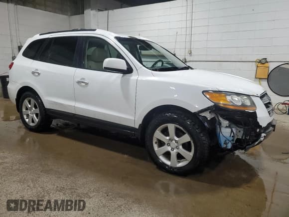 ✅ 2008 Hyundai Santa Fe SE • VIN: 5NMSH13E98H185076 • Lot: 79198994. Listed on Copart with 239,334 mi. Free auction sales archive from the USA and detailed vehicle history report at DreamBid. Image 4.