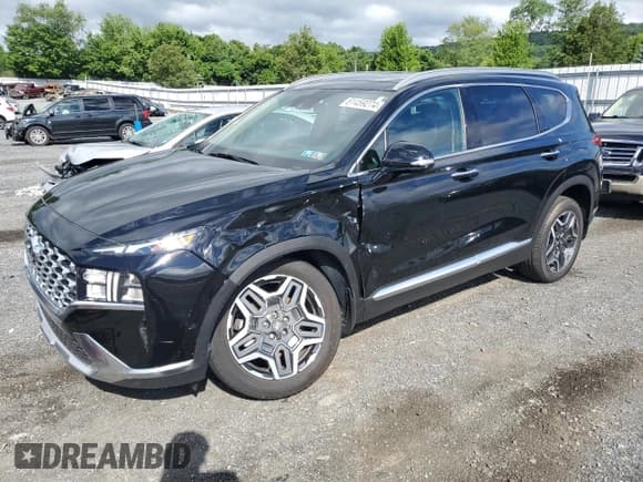 ✅ 2023 Hyundai Santa Fe SEL Premium • VIN: 5NMS3DA11PH009489 • Lot: 61459274. Wystawiony na Copart z przebiegiem 12 452 mil. Bezpłatny archiwum sprzedaży aukcyjnych z USA i szczegółowy raport historii pojazdu na DreamBid. Zdjęcie 1.