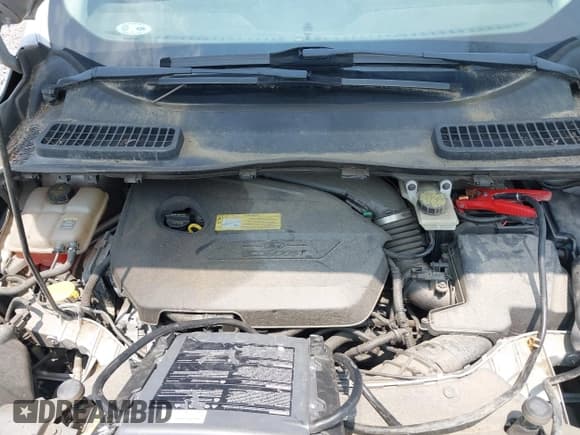 ✅ 2013 Ford Escape SE • VIN: 1FMCU9GX2DUC08450 • Lot: 42414210. Wystawiony na IAAI z przebiegiem 173 924 mil. Bezpłatny archiwum sprzedaży aukcyjnych z USA i szczegółowy raport historii pojazdu na DreamBid. Zdjęcie 10.