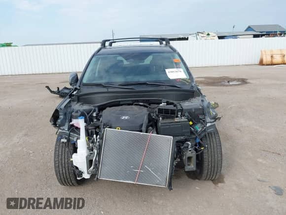 2025 Hyundai Palisade XRT with VIN KM8R34GE6SU892057, listed as a IAAI auction lot 43053676 with 5,498 mi miles and . Bid and sale history available at DreamBid. Image 13.