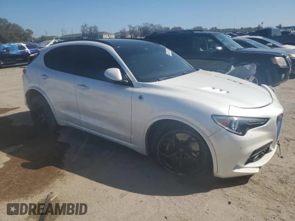 ✅ 2019 Alfa Romeo Stelvio Quadrifoglio • VIN: ZASPAKEV5K7C46796 • Lot: 44673644. Listed on Copart with 43,130 mi. Free auction sales archive from the USA and detailed vehicle history report at DreamBid. Image 4.