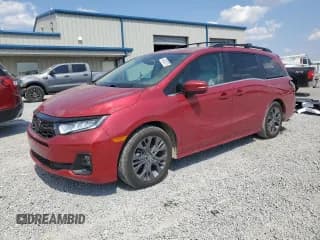 ✅ 2025 Honda Odyssey Touring • VIN: 5FNRL6H84SB002849 • Lot: 80682675. Wystawiony na Copart z przebiegiem 14 909 mil. Bezpłatny archiwum sprzedaży aukcyjnych z USA i szczegółowy raport historii pojazdu na DreamBid. Zdjęcie 1.