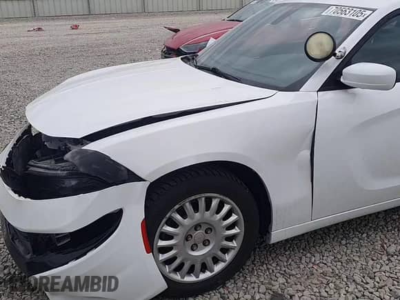 2018 Dodge Charger Police z VIN 2C3CDXKT8JH295495, wystawiony jako Copart lot #70563105 z przebiegiem 133 185 mil mil oraz Szkoda całkowita • Salvage title. Historia ofert i sprzedaży dostępna na DreamBid. Obrazek 13.